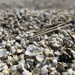 Puustpaus Strandnah Wohlfuehlen Casa vacanze
