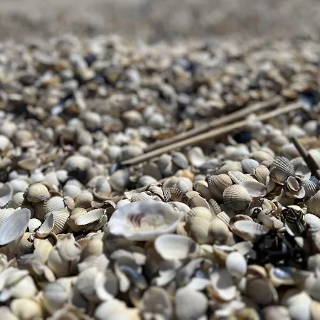 Puustpaus Strandnah Wohlfuehlen Vakantiehuis